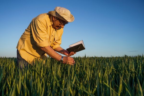 Balıkesir’de Çiftçiler İçin Tarım İşletmesi Yönetim Yazılımı